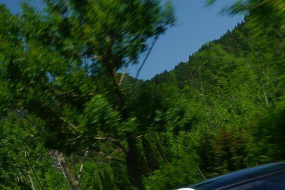 宋楠：“刚需市场收割者”长安新奔奔EV