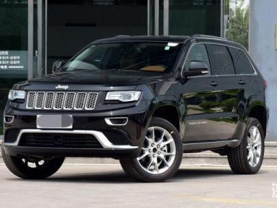 大众排放门警示不足，菲克再步后尘