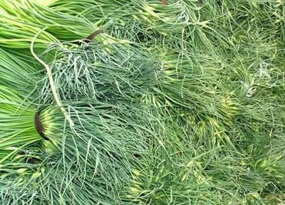 2017年，农村遇到的四大挑战，农民朋友要挺住