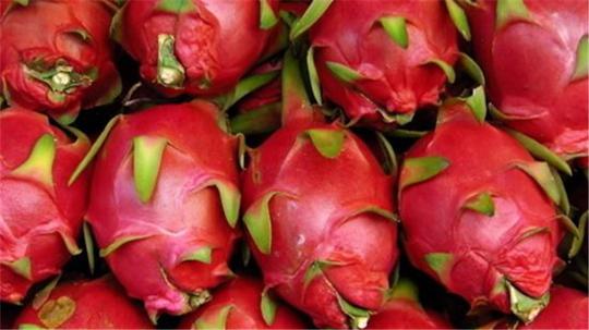 宝宝扁桃体炎期间,能不能吃火龙果?|火龙果|宝