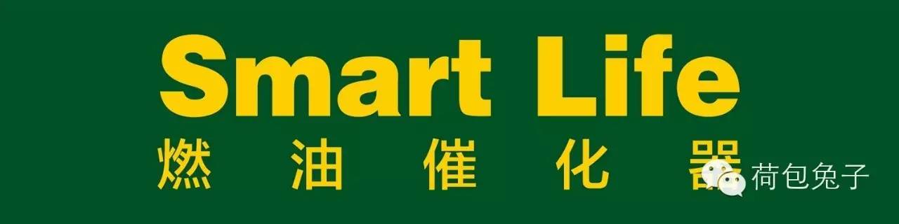 赛车起火老将遭遇赛道惊魂 美女车手巾帼不让须眉