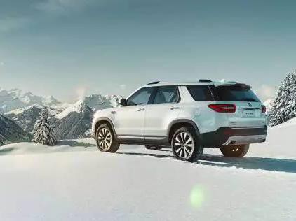 自主板块官降救市，长安救销量如何保利润？