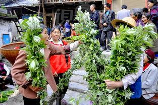 他用艾草泡脚,30天后身体出现神奇的改变!