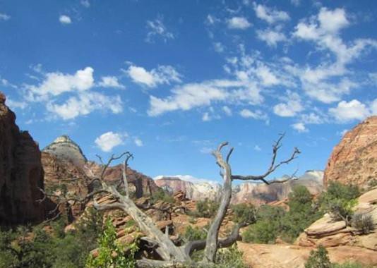 带你跋山涉水 三款25万左右硬派SUV推荐