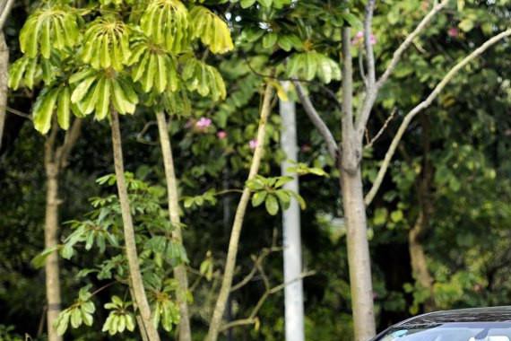 谁说自主品牌没有高端车型 这两款车不服