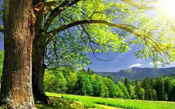 夏季汽车保养及用车技巧，说不定会要命！