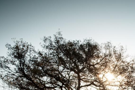 “韩”式速度与激情 日产240Z改装案例