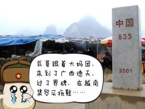 海外的非中国品牌汽车里竟有made in China