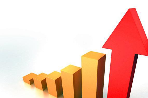 董小姐带队“攻陷”北京公交 做市场我们是认真的