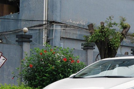 畅销50多年 这款车靠的是很高的性价比