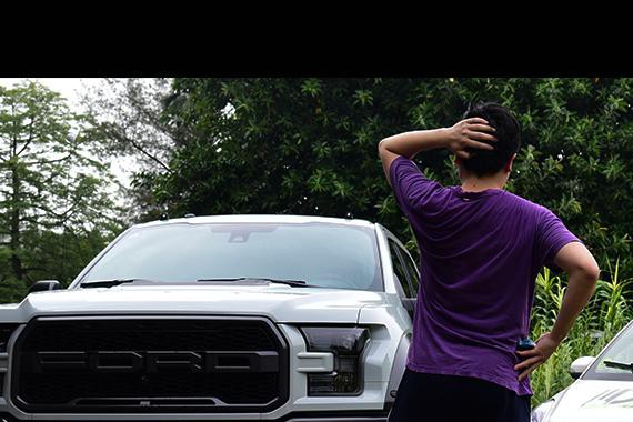 猛禽和知豆，白送你会选谁？