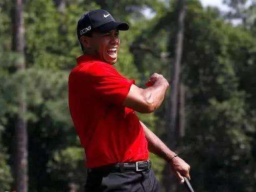 老虎伍兹吃错药开车被捕！这些药物开车前不宜服用！