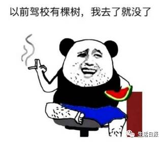 吐槽大会:学车“奇葩”多,不止你和我!