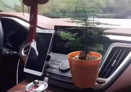 快围观！车内不但可以泡茶和涮火锅，还可以养鱼