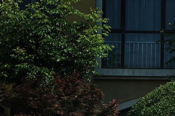 雪铁龙不保值，能继续买雪铁龙吗？