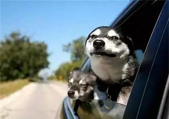 夏季行车要学会开窗，要不更加耗油是咋回事？