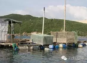 锦绣龙虾，曾经的中国龙虾之王！如今你在哪里？