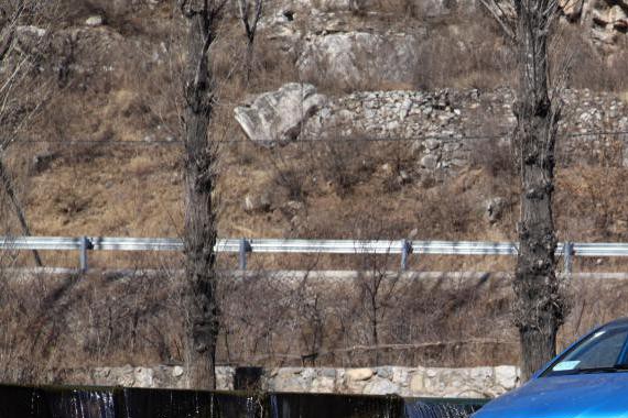 终于等到你 DENZA腾势全系进军北京市场