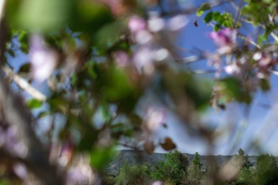 传奇般的驾驶者之车 恶魔绿宝马M3改装