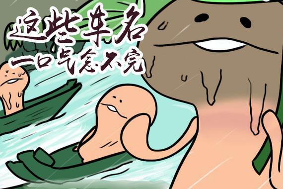 这么长你还不满足吗？ 这些车名一口气念不完