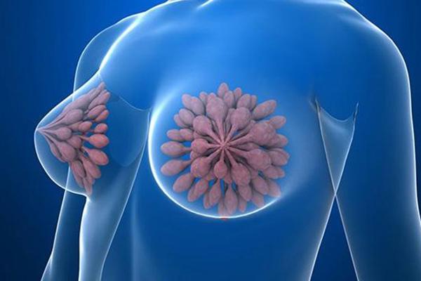 艾灸这几个穴位 帮你治愈乳腺增生!