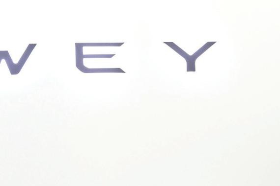 WEY与H7内耗严重 魏建军如何平衡销量与效益？