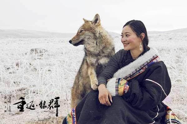 画狼写狼拍狼看狼女画家李微漪重返狼群