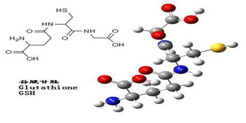 谷胱甘肽，统护肤、医疗、食品于一身的多功能传说