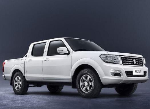 当国产车挂上外国品牌的LOGO，这是什么样的画风？