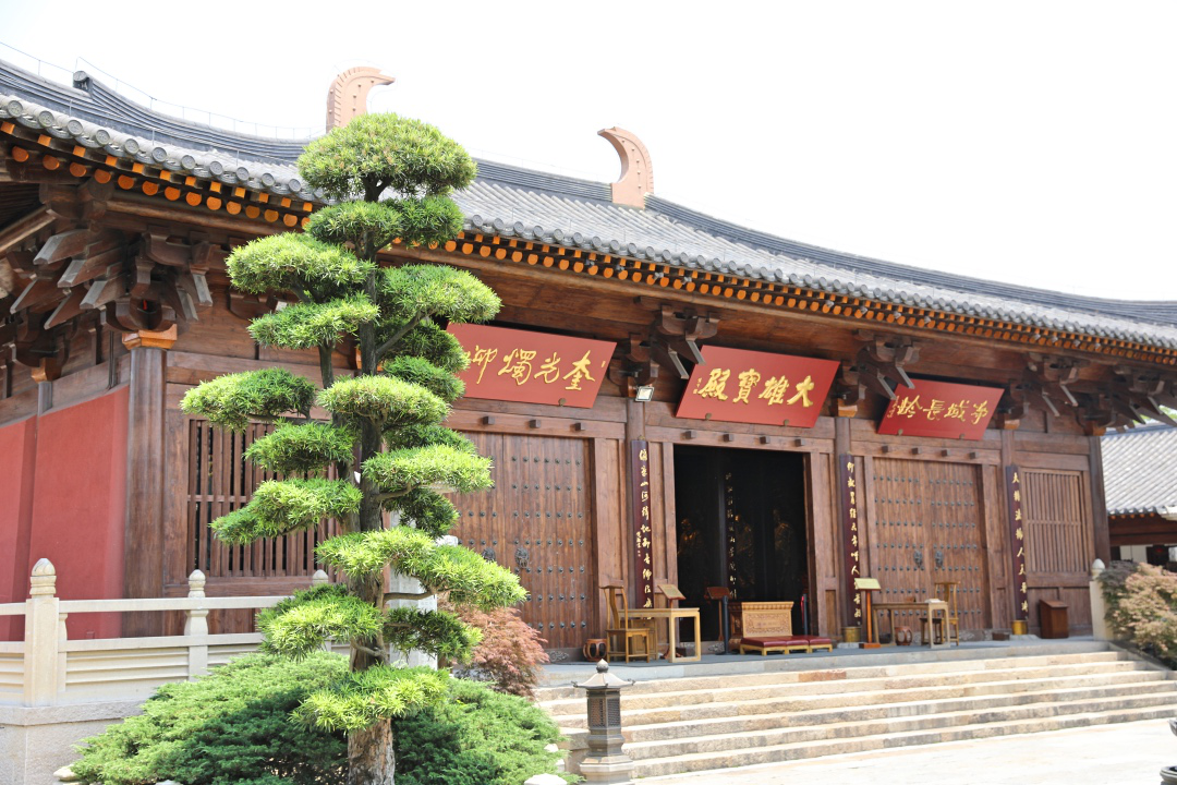 知也禅寺 成为揭开上海之根真面目的序幕