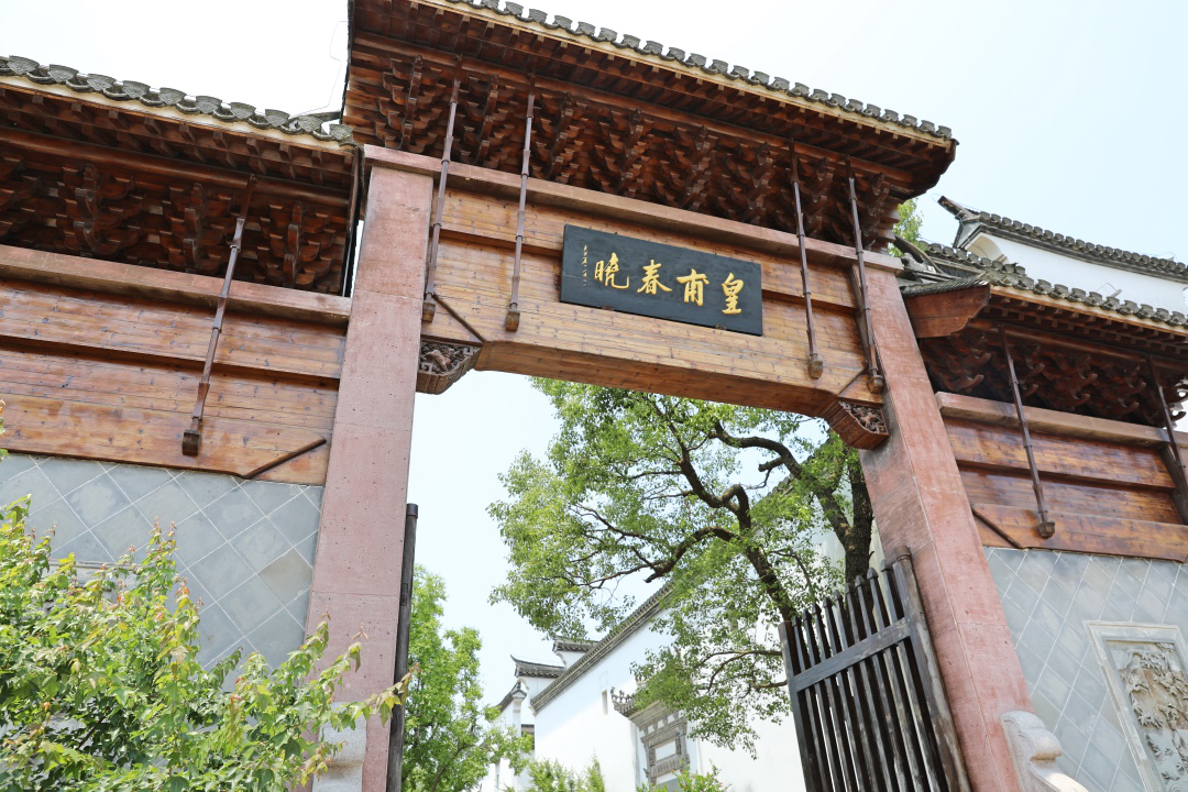 知也禅寺 成为揭开上海之根真面目的序幕