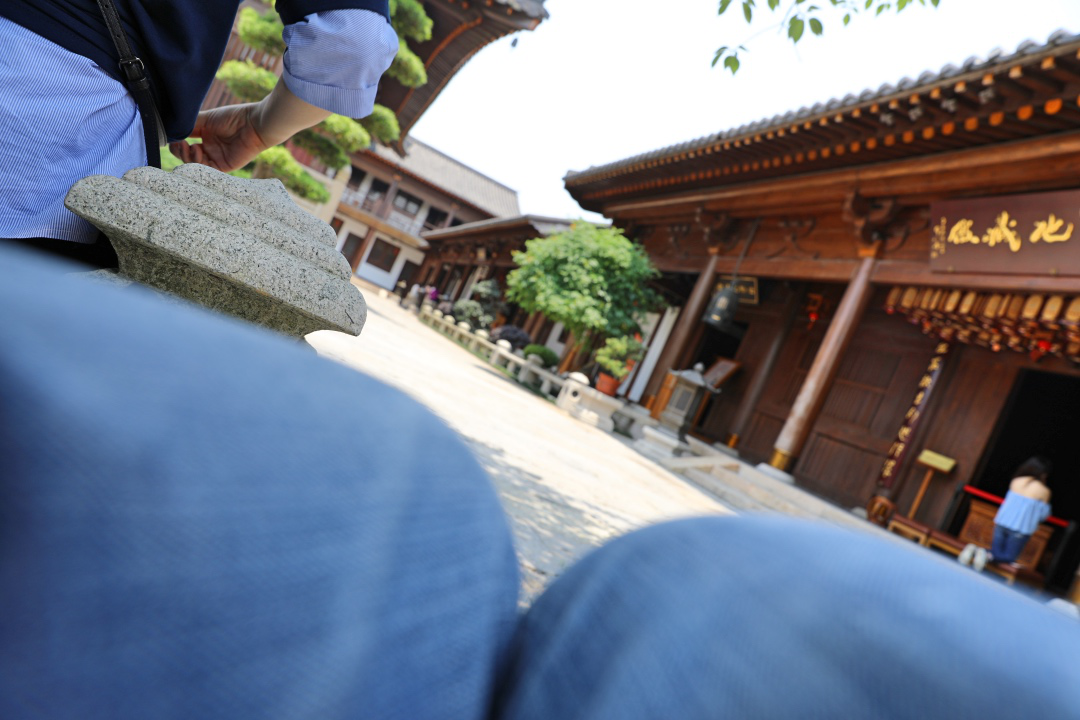 知也禅寺 成为揭开上海之根真面目的序幕