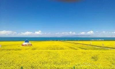 激情海西州 饕餮青海湖油菜花 穿越哈拉湖11日自驾游