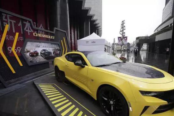 真的有大黄蜂来了！