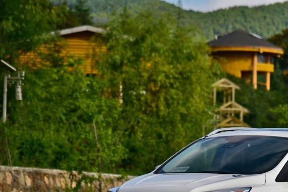 出生牛犊不怕虎 比试完翼虎也有点慌