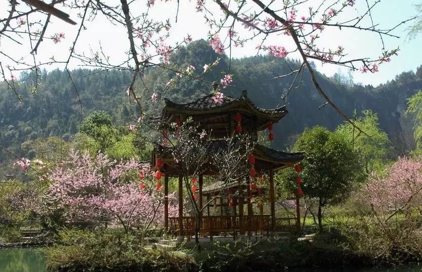 【自驾招募】重庆金佛山,武隆仙女峰12日自驾活动