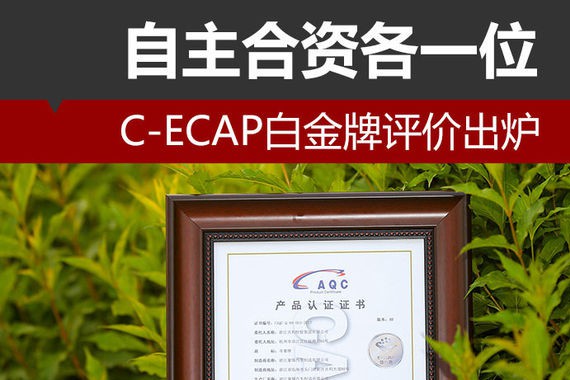 C-ECAP白金牌评价出炉 自主合资各一位