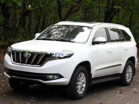 董小姐送给王健林的银隆首辆SUV，外观是抄的？