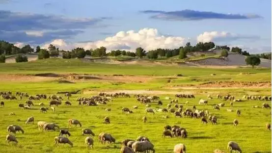 走过这5条最美公路，才算真正的河北人