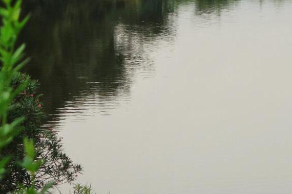 关于全新BMW 5系Li，你想知道的都在这里！