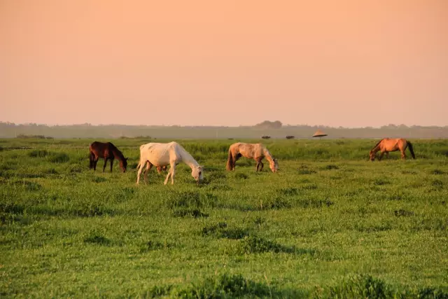 走过这5条最美公路，才算真正的河北人