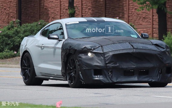 明年初亮相 Mustang Shelby GT500谍照
