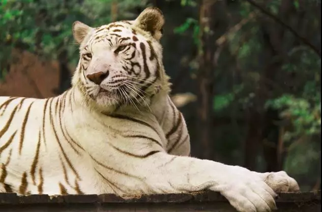 走过这5条最美公路，才算真正的河北人