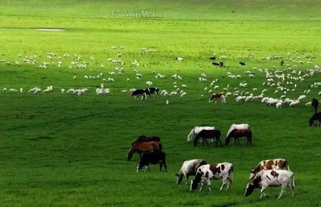 走过这5条最美公路，才算真正的河北人