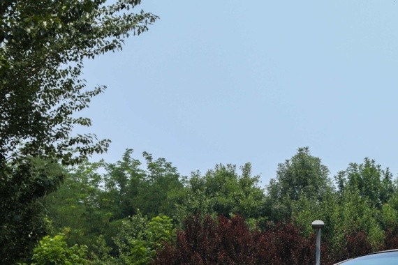 凌派50万纪念特装车上市 售价12.48-13.48万