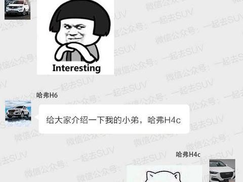 哈弗H4领衔，10万内又一大波新款SUV曝光