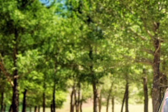 夏日序曲之与新福特翼虎私奔坝上&天路 | 车旅行