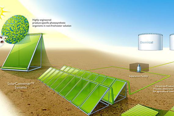 人工光合作用将成为未来汽车主要能源