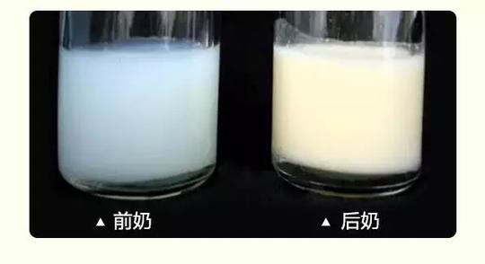 婴儿几个月不长体重怎么回事 cbfe-fyhskrq1706842.jpg