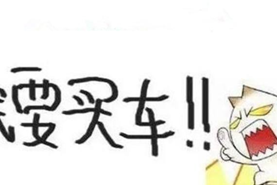 一个研究生 10万买车的那些事儿